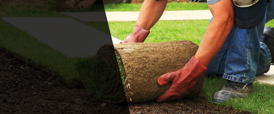 Byron Center Landscapers